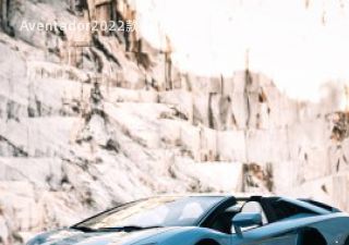 Aventador拆车件客服台