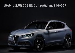 Stelvio斯坦维拆车件客服台