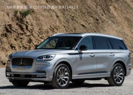 飞行家新能源(进口)