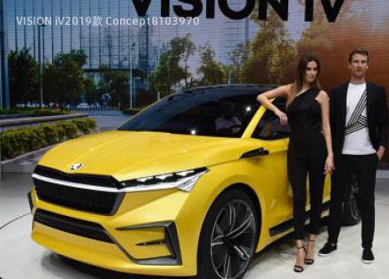 VISION iV拆车件客服台