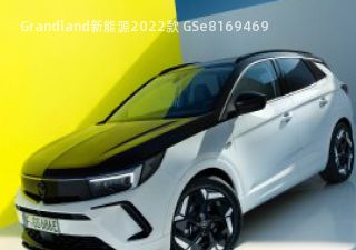 Grandland新能源
