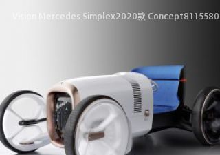 Vision Mercedes SimplexVision Mercedes Simplex拆车件