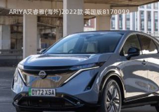 ARIYA艾睿雅(海外)拆车件客服台