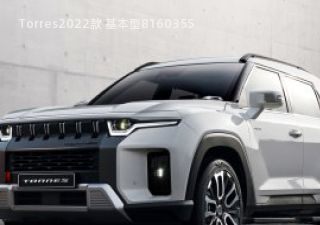 Torres拆车件客服台