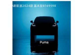 PUMA新能源PUMA新能源拆车件