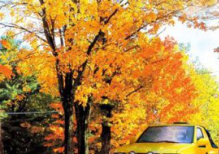 2009款 2.4L 四驱汽油版