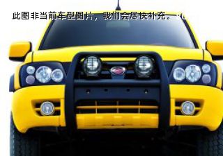 2009款 2.0L 两驱汽油冠军限量版