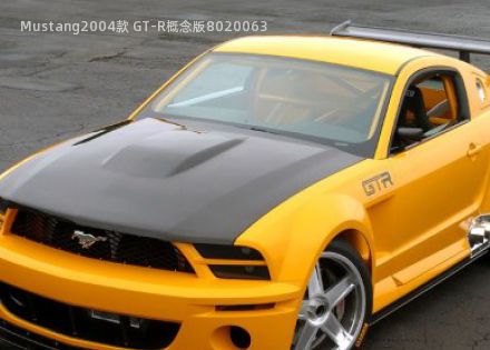 2004款 GT-R概念版拆车件客服台