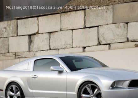 Mustang2010款 Iacocca Silver 45周年纪念版拆车件