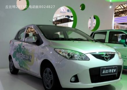 2011款 电动版拆车件客服台