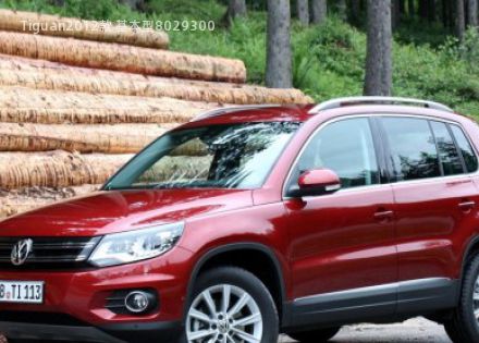 Tiguan2012款 基本型拆车件