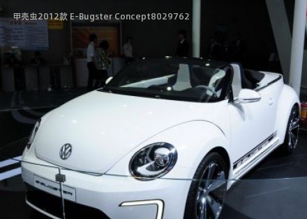 甲壳虫2012款 E-Bugster Concept拆车件