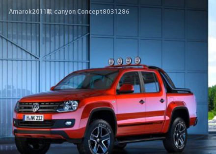 Amarok2011款 canyon Concept拆车件