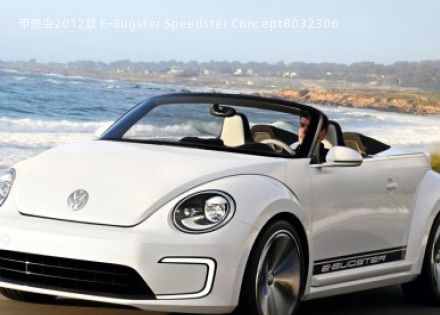2012款 E-Bugster Speedster Concept拆车件客服台