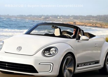 甲壳虫2012款 E-Bugster Speedster Concept拆车件