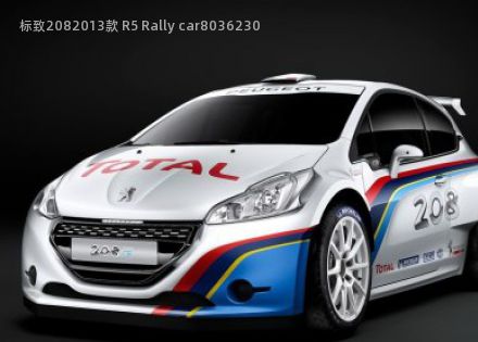 标致2082013款 R5 Rally car拆车件