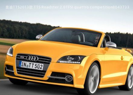 2013款 TTS Roadster 2.0TFSI quattro competition