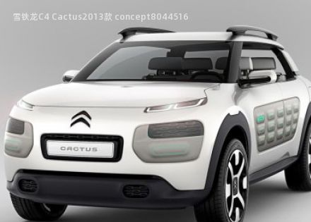 雪铁龙C4 Cactus2013款 concept拆车件