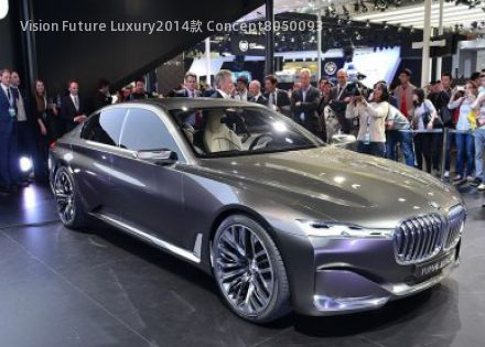 Vision Future Luxury2014款 Concept拆车件
