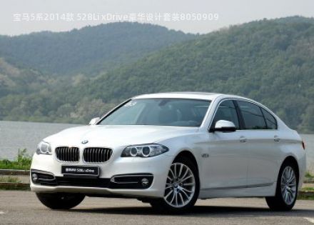 宝马5系2014款 528Li xDrive豪华设计套装拆车件