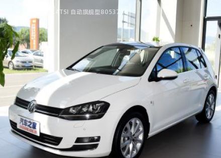 2015款 1.4TSI 自动旗舰型