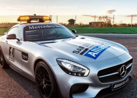 AMG GT2015款 GT S F1 Safety拆车件