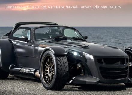 Donkervoort D82015款 GTO Bare Naked Carbon Edition拆车件