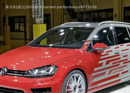 高尔夫(进口)2016款 R Variant performance拆车件