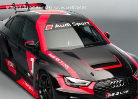 奥迪RS 32017款 RS 3 LMS Racecar拆车件