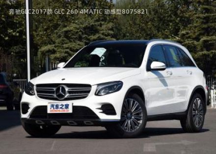 2017款 GLC 260 4MATIC 动感型