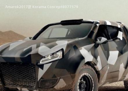 Amarok2017款 Korama Concept拆车件