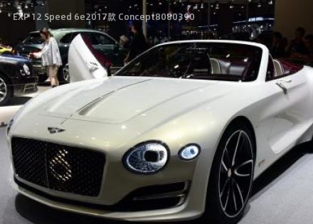 2017款 Concept拆车件客服台