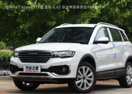 2017款 蓝标 2.0T 自动两驱尊贵型拆车件客服台