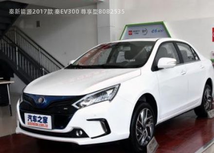 2017款 秦EV300 尊享型拆车件客服台