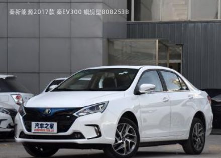 2017款 秦EV300 旗舰型拆车件客服台
