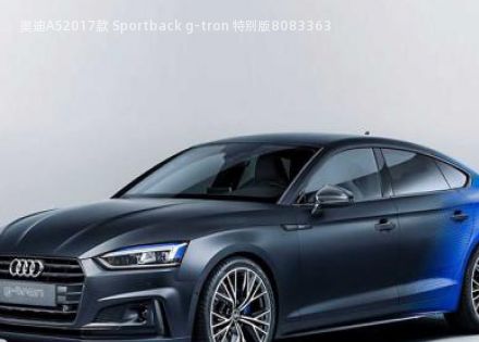 2017款 Sportback g-tron 特别版