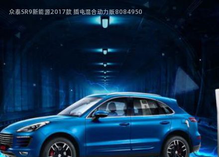 2017款 插电混合动力版拆车件客服台