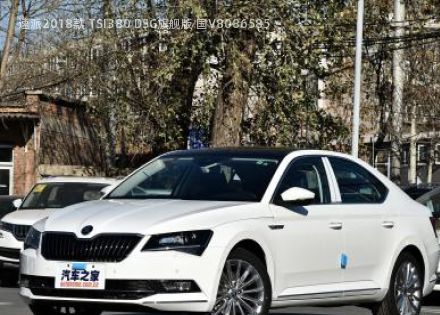 2018款 TSI380 DSG旗舰版 国V