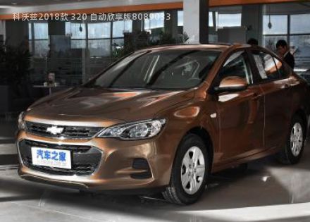 2018款 320 自动欣享版