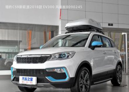 2018款 EV300 风尚版拆车件客服台