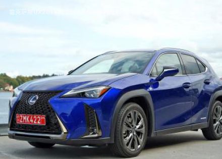 2019款 250h F SPORT