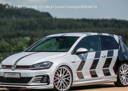 高尔夫(进口)2018款 GTI Next Level Concept拆车件