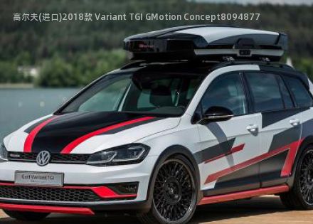 2018款 Variant TGI GMotion Concept拆车件客服台