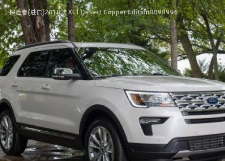 2018款 XLT Desert Copper Edition拆车件客服台