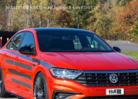 2019款 H&R Special Springs R-Line拆车件客服台