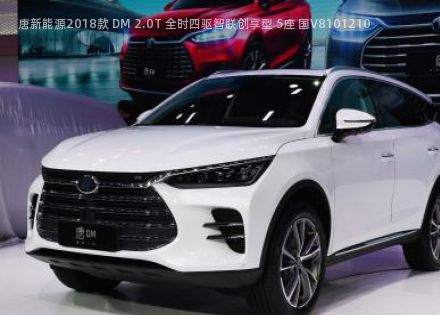 2018款 DM 2.0T 全时四驱智联创享型 5座 国V