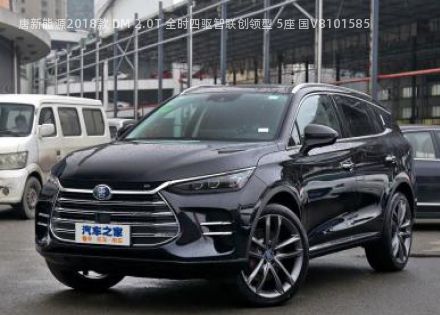 2018款 DM 2.0T 全时四驱智联创领型 5座 国V