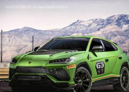 2019款 ST-X Concept
