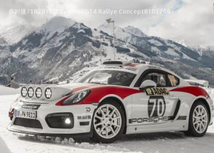 2019款 Cayman GT4 Rallye Concept拆车件客服台