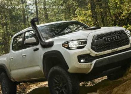 2019款 TRD Pro